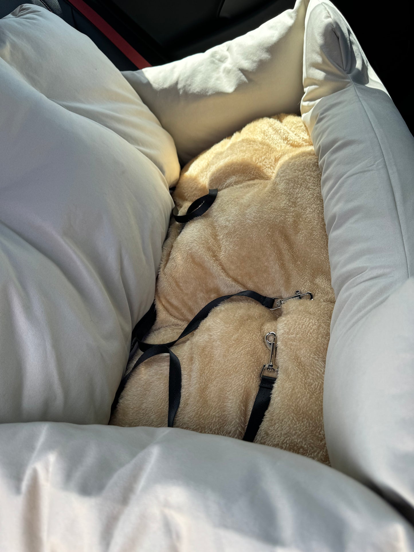 FurForThought™ Deluxe Travel Bed